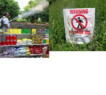 تقرير أممي يحذر من خطورة المبيدات الزراعية على صحة المغاربة